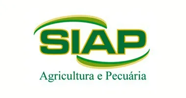 Cliente