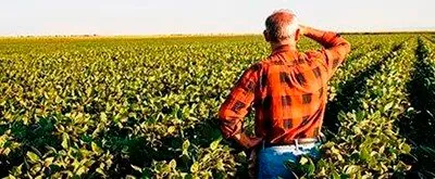 Consultoria ambiental para produtores rurais