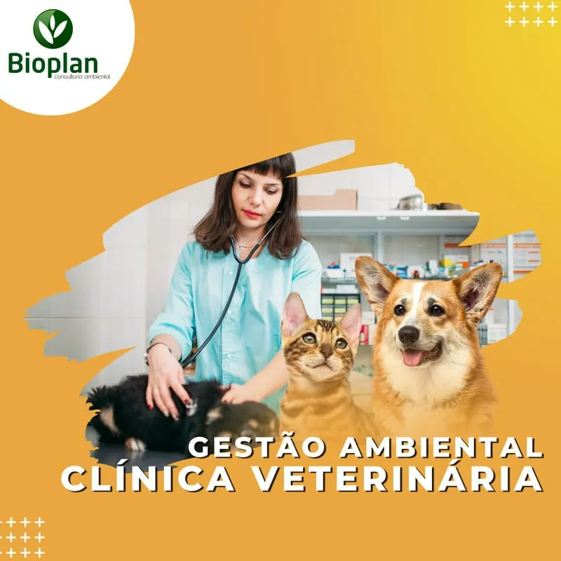 Gestão Ambiental para Clínica Veterinária: Guia Completo para um Negócio Sustentável