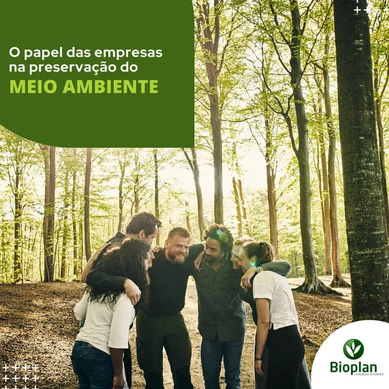 O Papel Essencial das Empresas na Preservação do Meio Ambiente